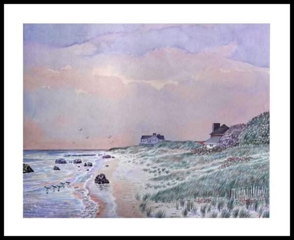 AIM 425 (S/N LIMITED EDITION)